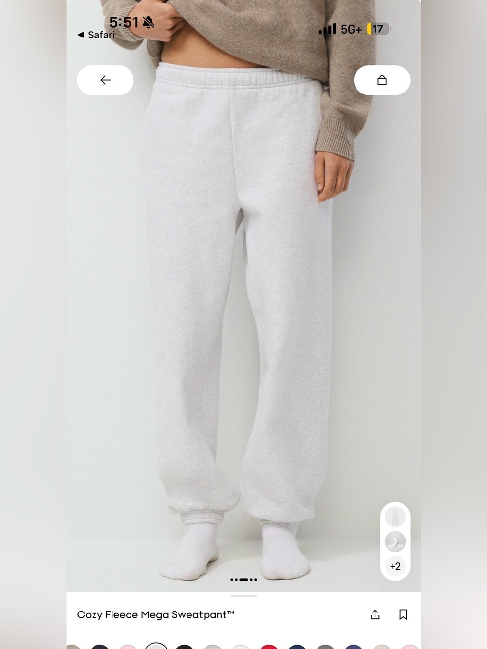 Aritzia Cocyfleece Mega Sweatpants in Light Gray